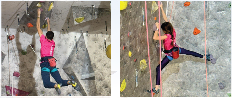 Необична интересовања наших ученика – забележила педагог школе Снежана Илић